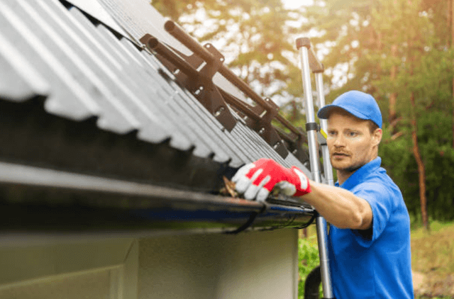 eden prairie gutter service